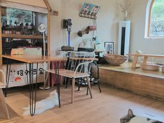 -小时光咖啡馆(开森度假森林店)