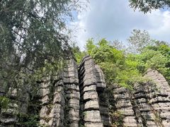 -梭布垭石林景区