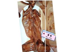 -楚灶王(徐东店)