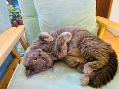 -Rabbit Cafe私房西餐甜点咖啡(栖霞路店)