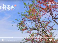 -圩墩遗址公园