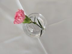 -多乐之日(华贸天地店)