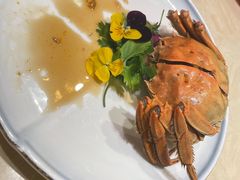 -杨氏青龙虾·羊蝎子(珠江路店)
