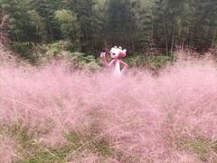 -宁波浙东大竹海景区