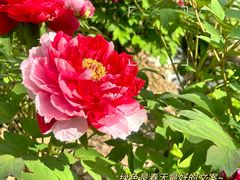 -江南大学(蠡湖校区)