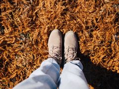 -春花秋色城市公园