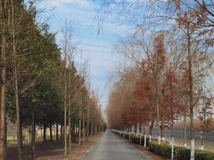 -太阳岛度假酒店