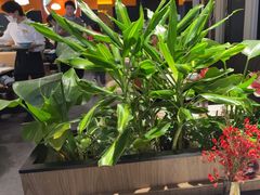 -半秋山西餐厅(巴南万达广场店)