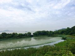 -上海市保健医疗中心(华东疗养院)