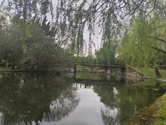 -上海共青森林公园