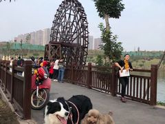 -枫香湖儿童公园