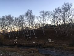 -木兰围场