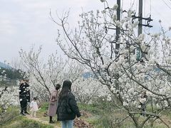 -樱桃山旅游景区