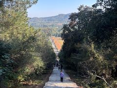 -青龙山国家森林公园