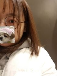 -木北造型