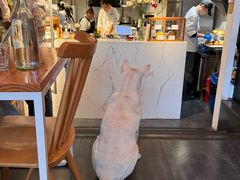 -Egg•Allday Brunch(襄阳北路店)