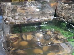 -杭州开元名都大酒店·地中海自助餐厅