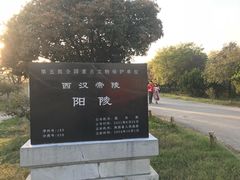 -汉景帝阳陵博物院