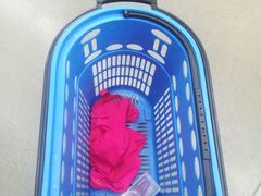 -迪卡侬(徐泾店)