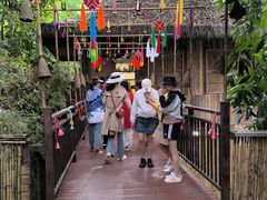 -西双版纳原始森林公园