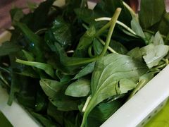 -正能量脆肉鲩火锅