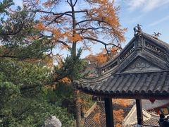 -惠山古镇·寄畅园