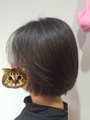 -T.D Salon私人定制