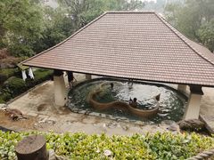 -天目湖涵田半山温泉