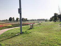 -苏州湾体育公园