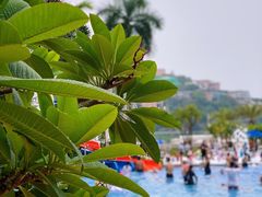 -深圳大梅沙京基洲际度假酒店