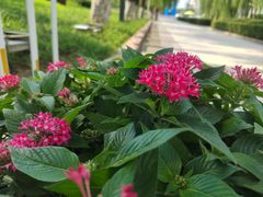 -泉城广场