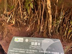 -碧峰峡风景区