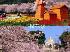 -苏州上方山国家森林公园