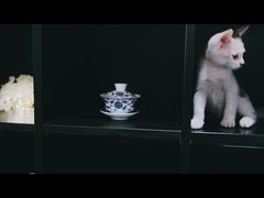 -行人小筑·茶馆(岑村火炉山分店)