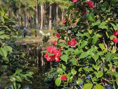 -深圳国际园林花卉博览园