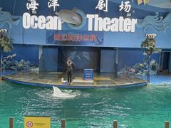 -苏州海洋馆