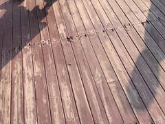 -西安曲江寒窑遗址公园