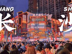 -黑色经典臭豆腐·湖南特产(坡子街店)