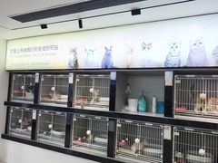 -翊宠yipet猫狗购宠庄园犬舍•猫舍