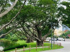 -云溪植物园