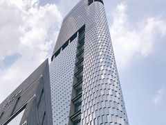 -紫峰大厦