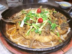 -老板恋上鱼(恒隆广场店)