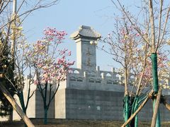 -永定河休闲森林公园