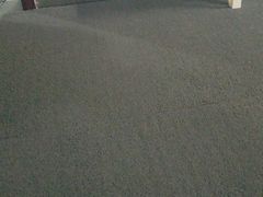 -北京科技大学-游泳馆