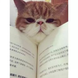 -和良形象
