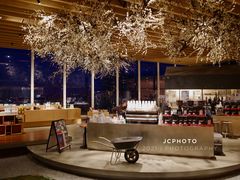 -Seesaw Coffee(朝阳大悦城店)