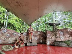 -热带雨林自然公园