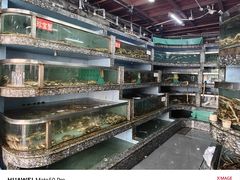 -新农都水产市场