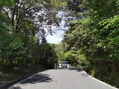 -中国大熊猫保护研究中心雅安碧峰峡基地