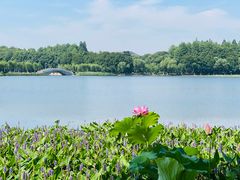 -东湖磨山景区